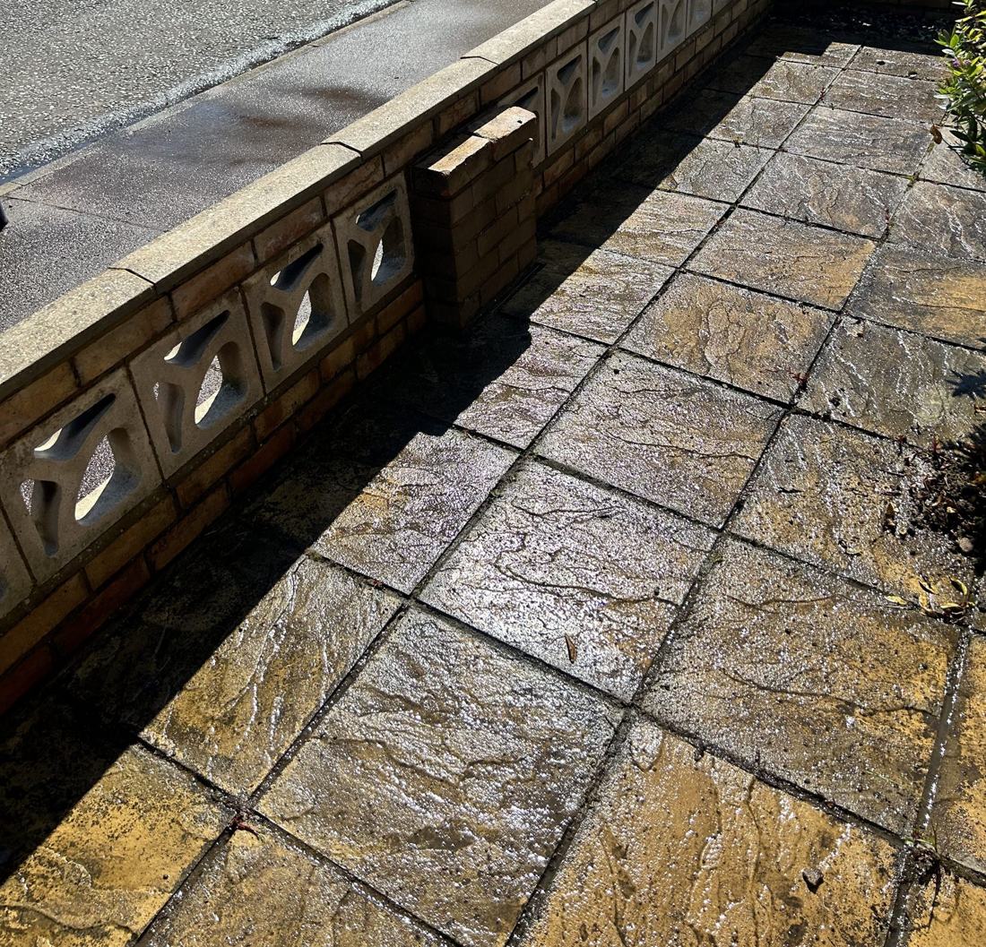 Muro y suelo del jardín delantero antes de pintar